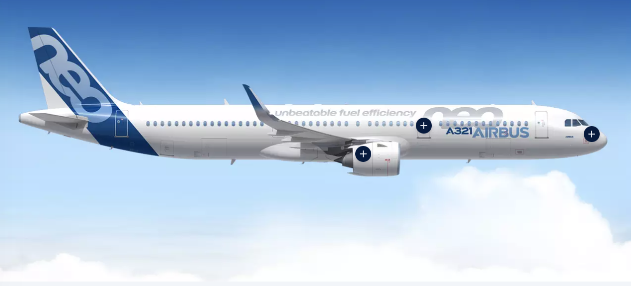 flight jets में software glitch के चलते 6,000 से ज्यादा विमान ground कर दिए हैं